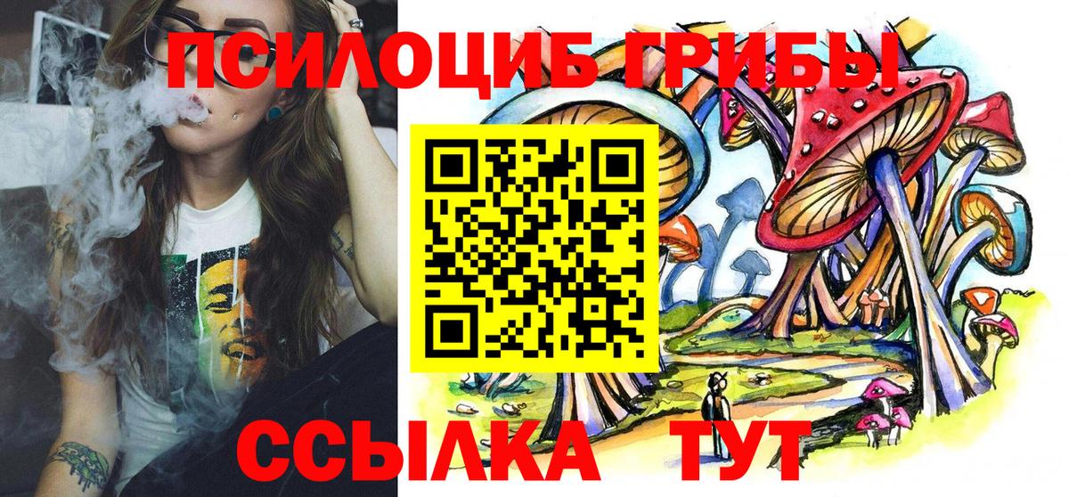 Псилоцибиновые грибы Psilocybe Иваново